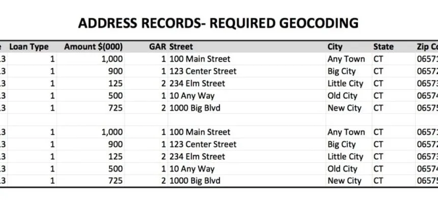 Sample geocoding records and fields.