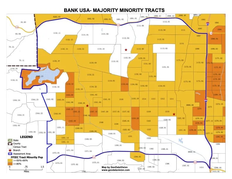 Sample majority-minority census tract map.